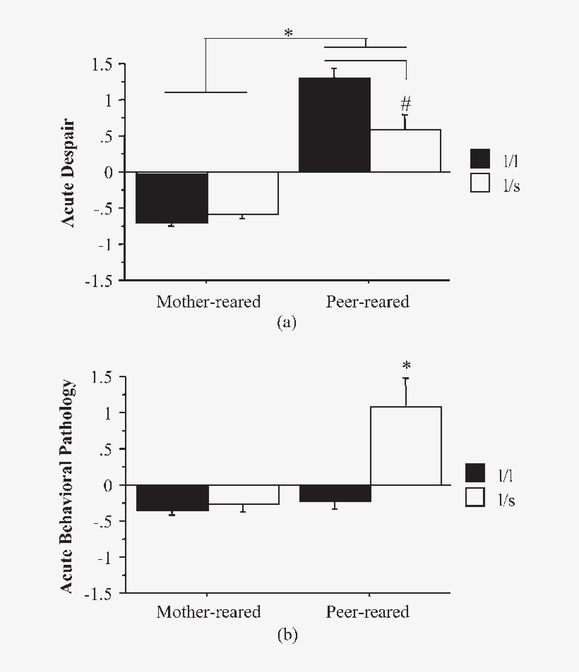 Reared Monkeys During The Acute Behavioral Response - Mother, transparent png download