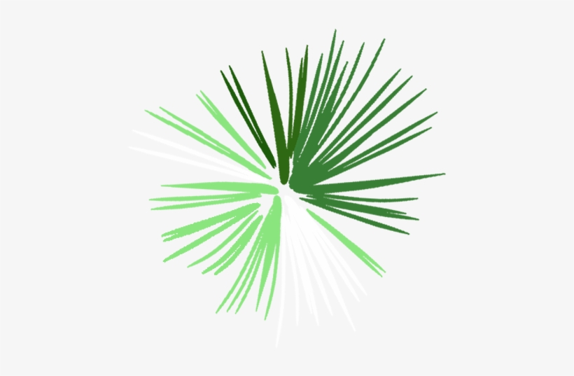 Explosion - Saw Palmetto, transparent png download
