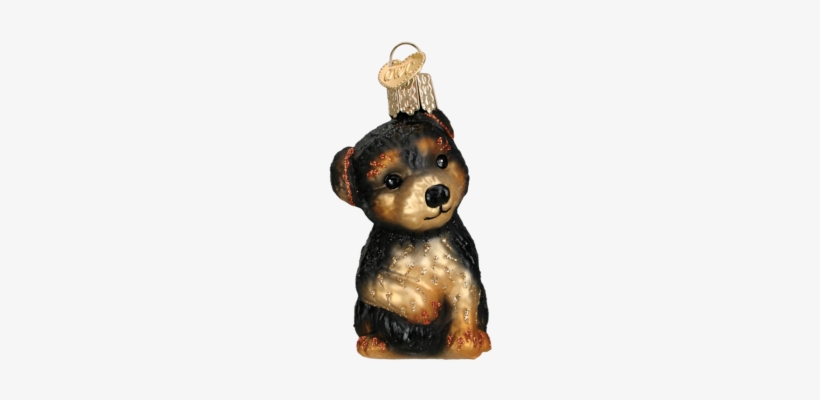 Old World Christmas Yorkie Pup Ornament, transparent png download