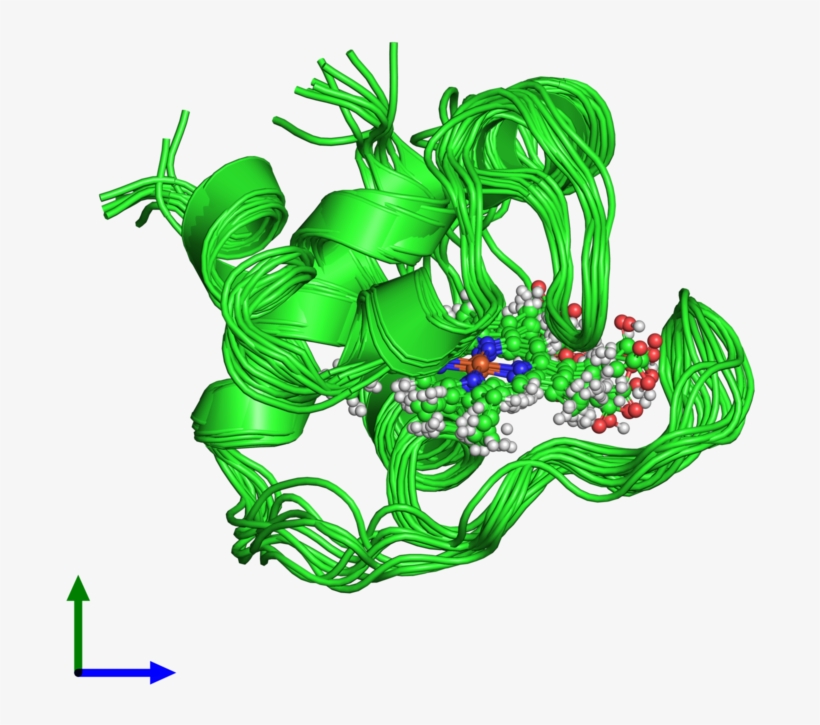 Pdb 2pac Coloured By Chain And Viewed From The Front - Graphic Design, transparent png download