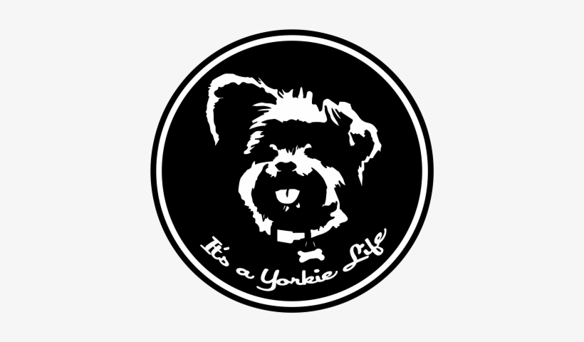 By - Yorkie Spirit Adult Coloring Book: An Exploration, transparent png download