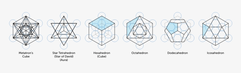 5 Platonic Solids From The Fruit Of Life I - Metatron's Cube 5 Platonic Solids, transparent png download