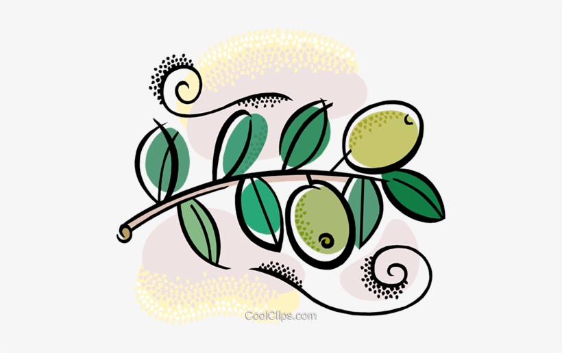 Olive Branch With Olives Royalty Free Vector Clip Art - Olive, transparent png download