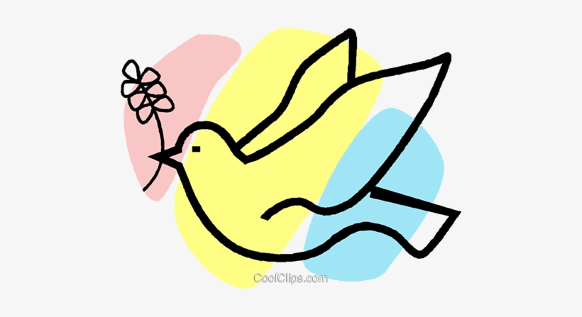 Dove With An Olive Branch In Its Mouth - Clip Art, transparent png download