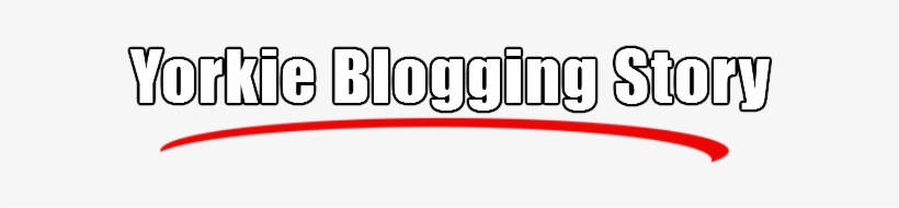 Yorkie Blogging Story Logo - Hercílio Luz Bridge, transparent png download