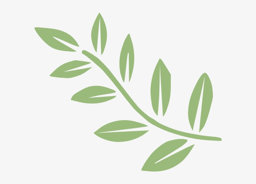 Clip Transparent Download Clip Art At Clker Com Vector - Branch Clipart, transparent png download