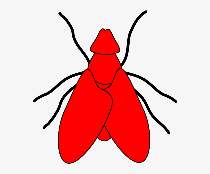 Clip Art Black And White Stock Flying Drawing Small - Red Fly Clipart, transparent png download