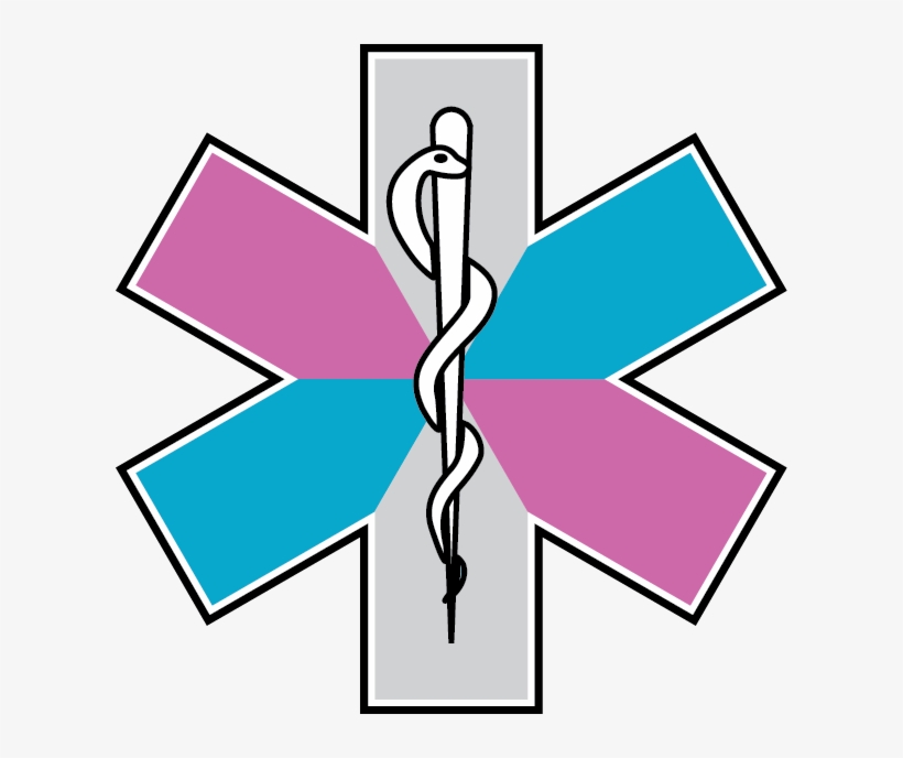 Trans Star Of Life Aug 2017 Aa - Orange Star Of Life, transparent png download