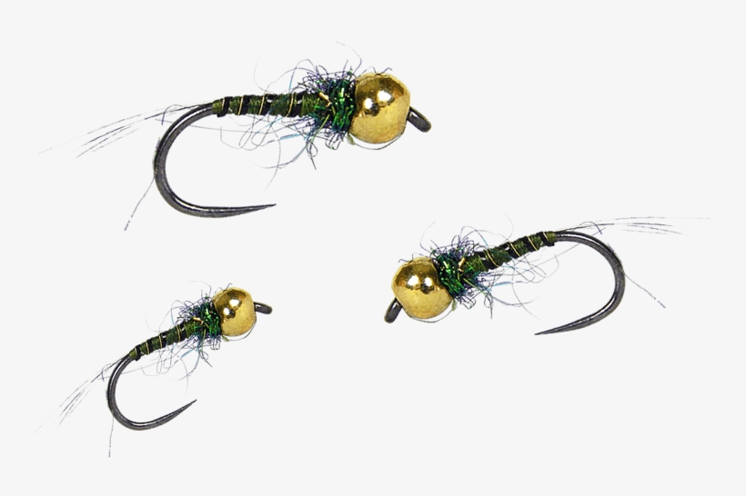 Adding New Flies Every Month - Fly Nymph, transparent png download