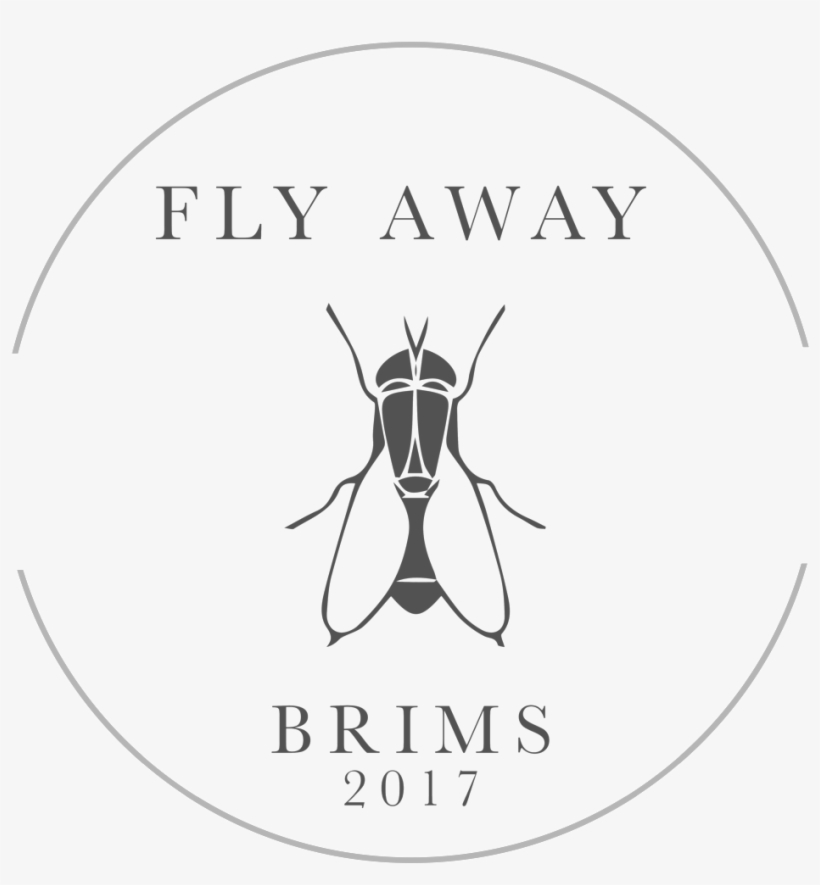 Concept 2 - Circle, transparent png download