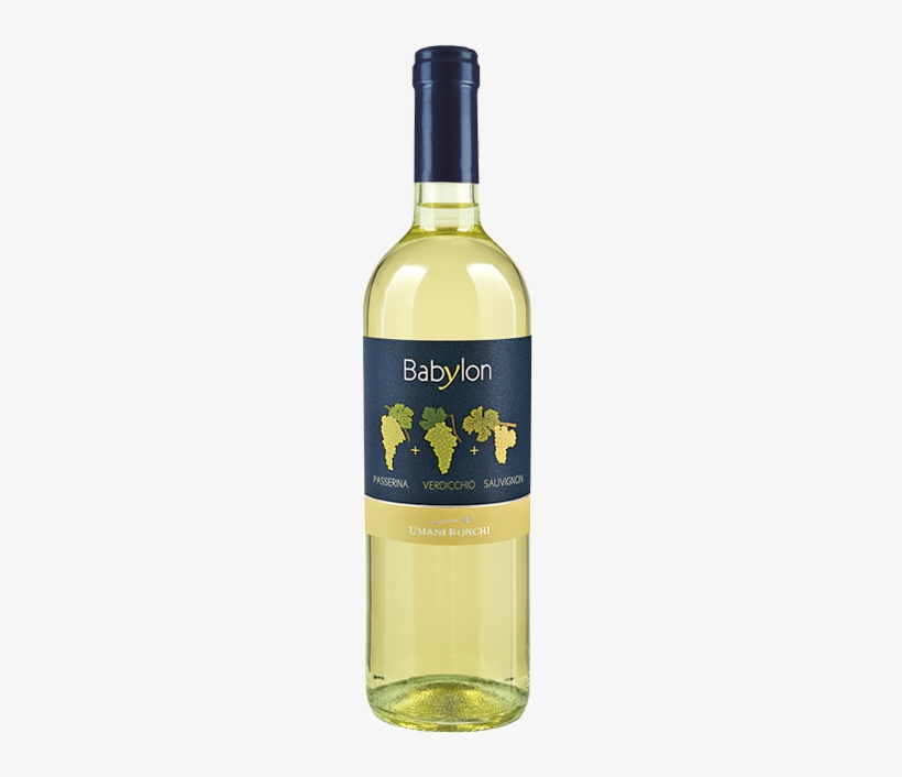 Castelli Di Jesi, Marche - Villa Bianchi 2014 Verdicchio Di Jesi Doc Classico, transparent png download