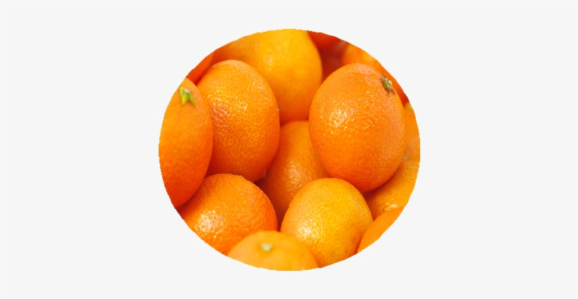 Valencia Oranges - Clementine, transparent png download