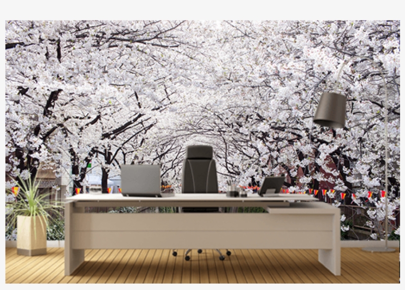 Photo Prints - Japanese Cherry, transparent png download