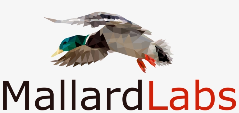 Subscribe To Mallardlabs - Seabird, transparent png download