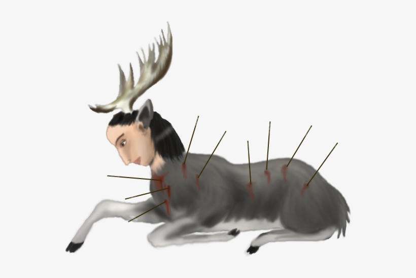 My New Deer - Venado Herido, transparent png download