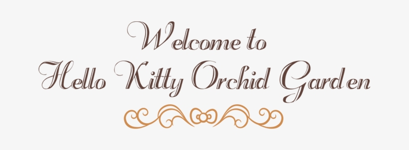 Reminiscent Of A Grand And Resplendent Garden Blooming - Singapore, transparent png download