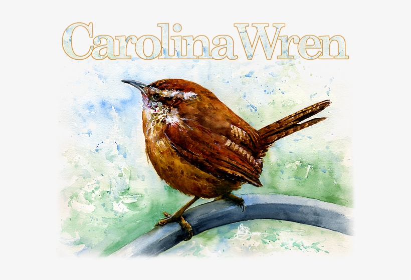 Click And Drag To Re-position The Image, If Desired - Carolina Wren Large, transparent png download