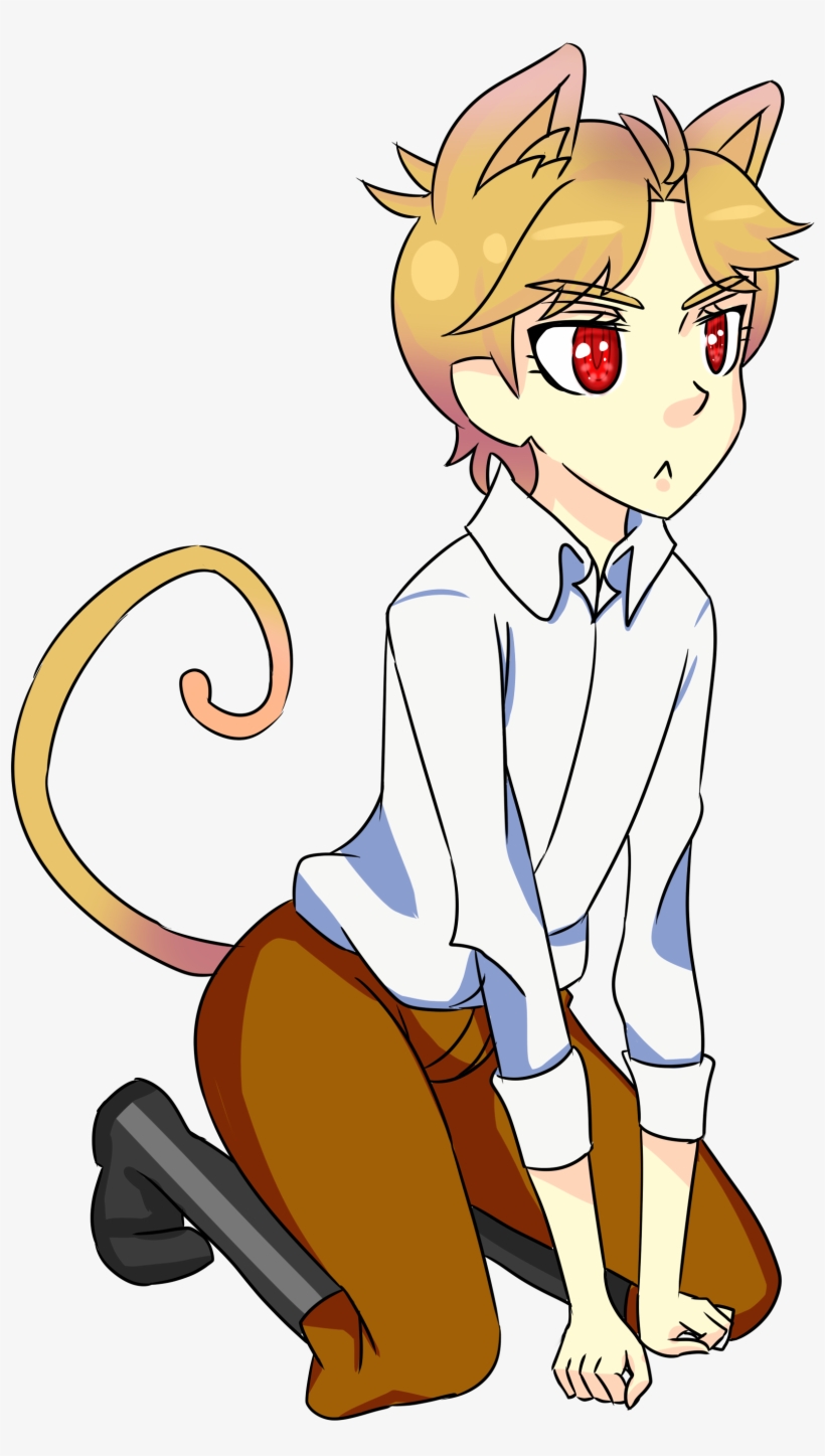 Author Comments - Dio Brando, transparent png download