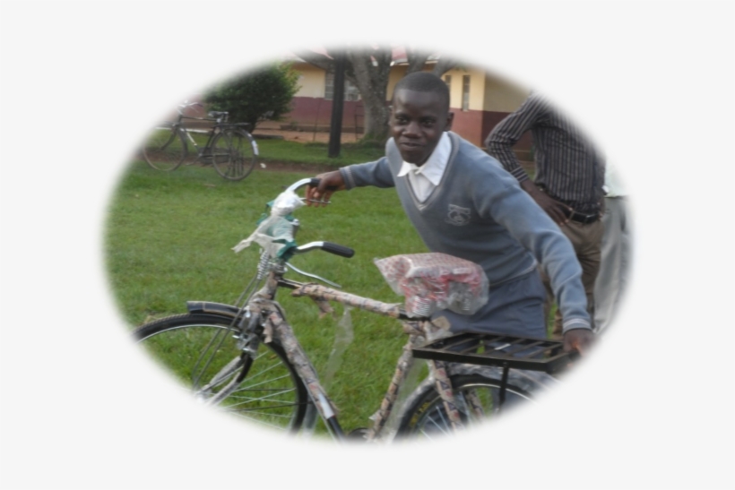 Report For Phase One - News, transparent png download