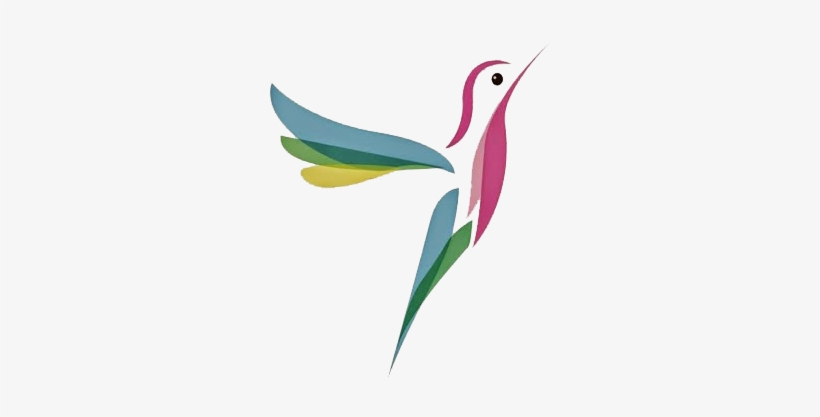 Picture Freeuse Library Colibr Para Cuando Tenemos - Hummingbird, transparent png download