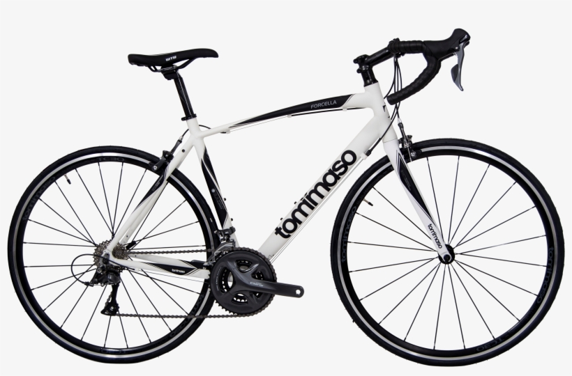 Forcella Road Bike - Tommaso Forcella, transparent png download
