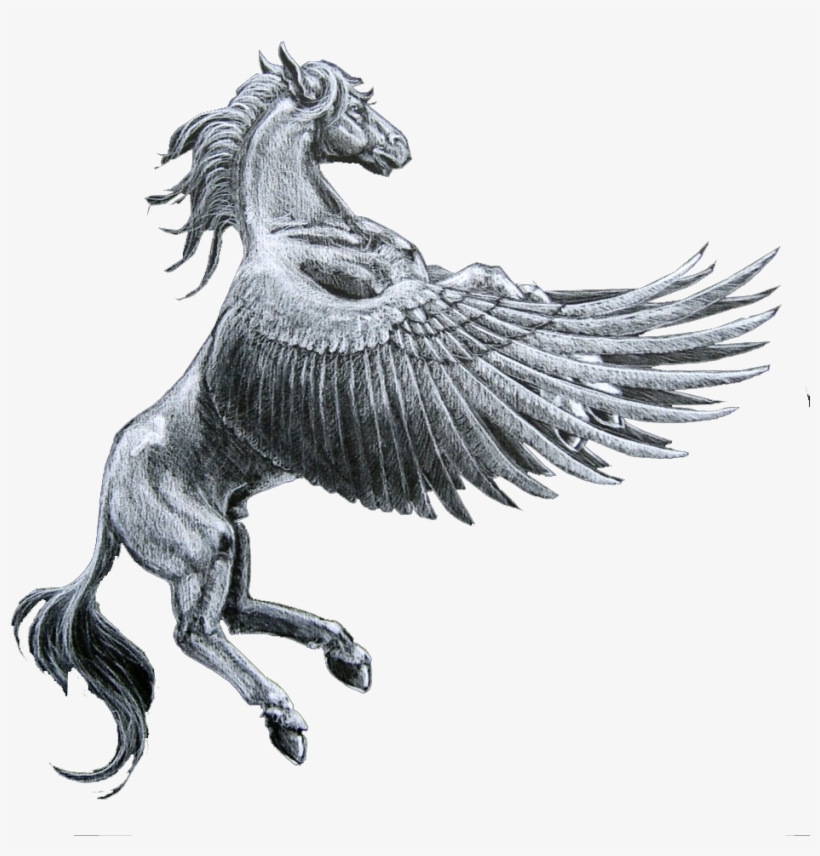 H/1080882480, Pegasus - Pegasus Horse, transparent png download