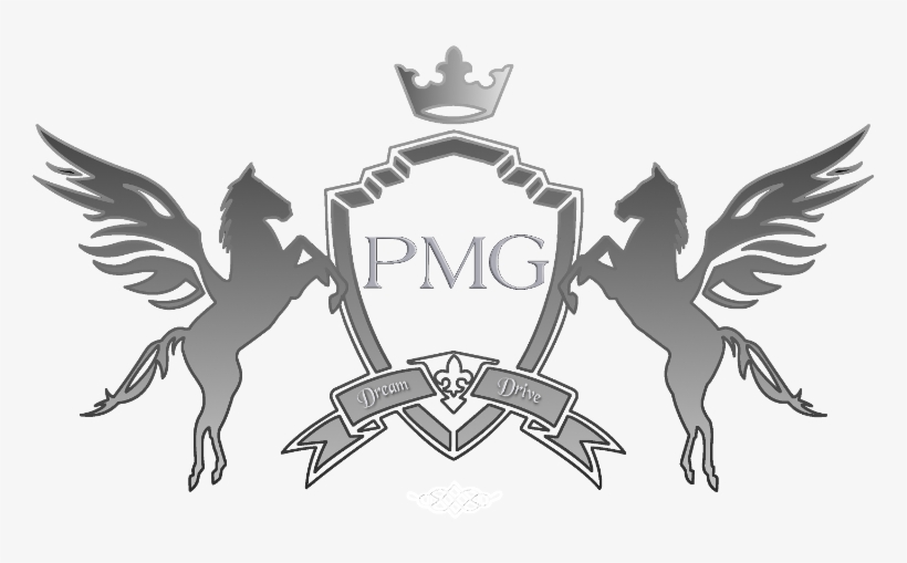 Pegasus Motor Group, transparent png download