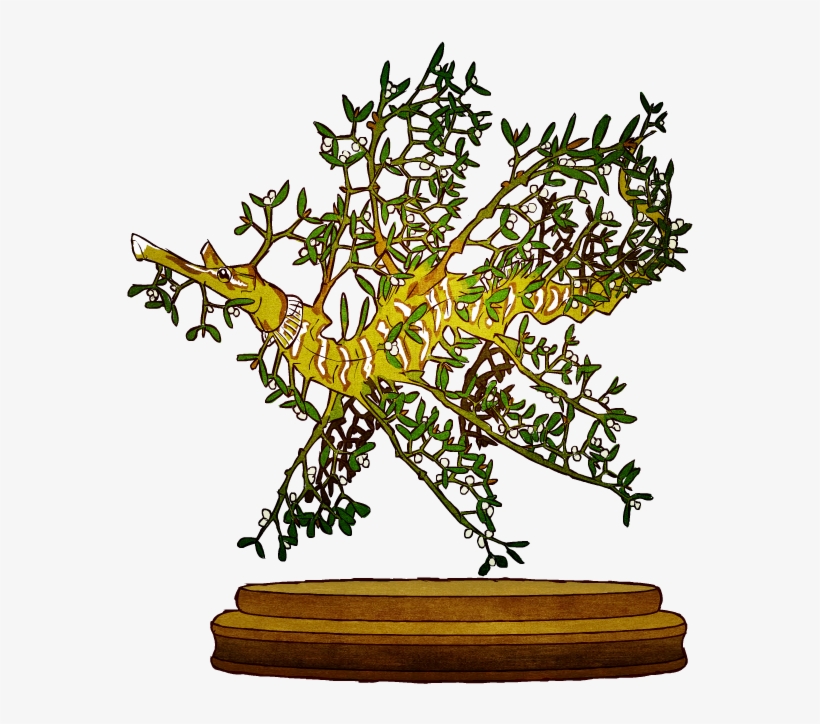 Mistletoe Mature Personals, transparent png download