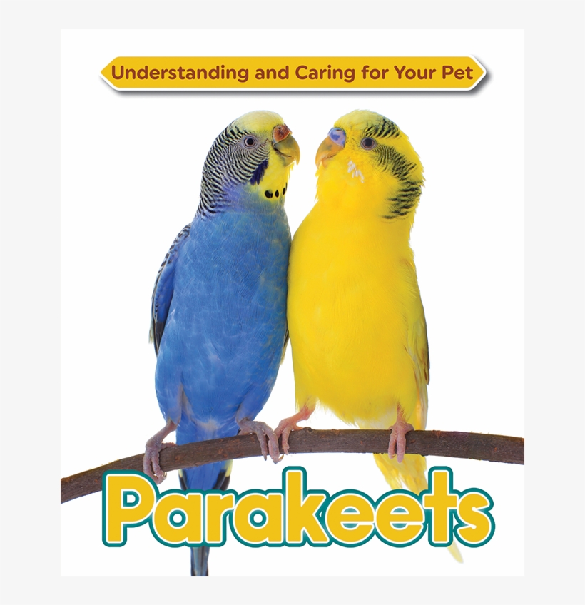 Parakeets - Parakeets (smith Catherine (west Hampshire Nhs Trust)), transparent png download