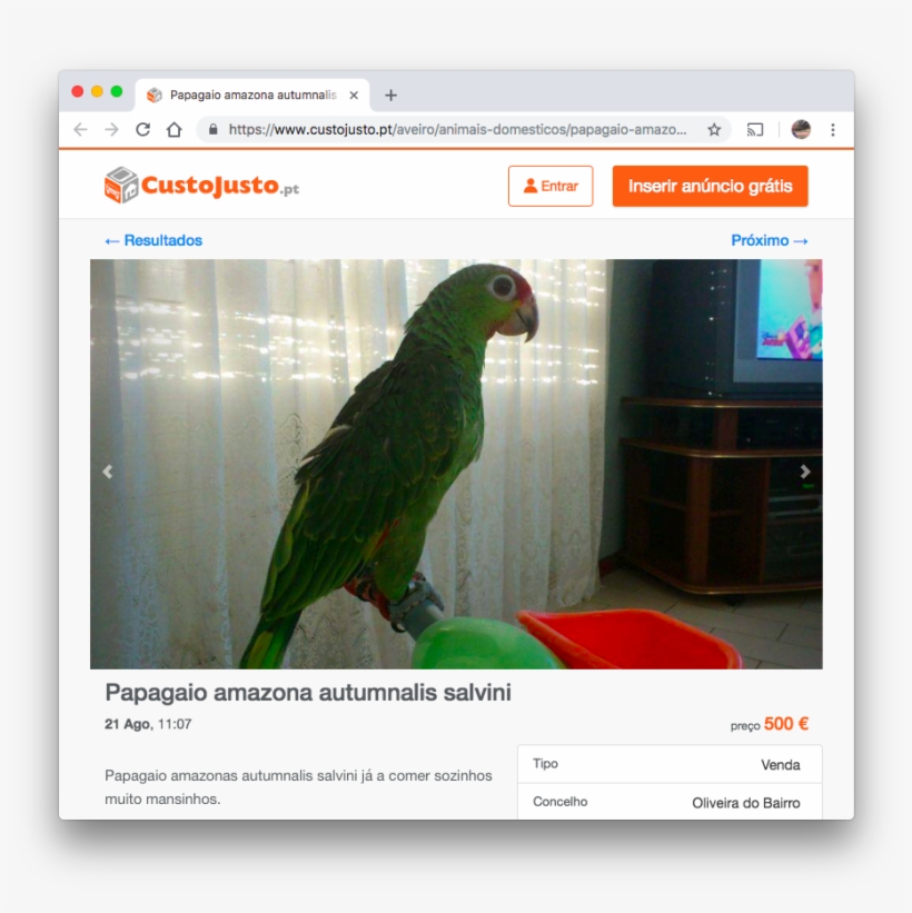 <https - Parrot, transparent png download