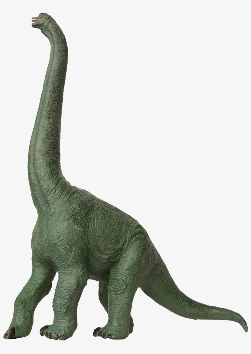 Annica Roos, Nrm - Brachiosauro Png, transparent png download