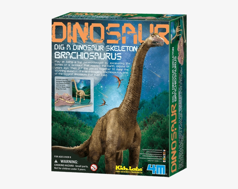 4m Kidz Labs - Dig A Brachiosaurus, transparent png download