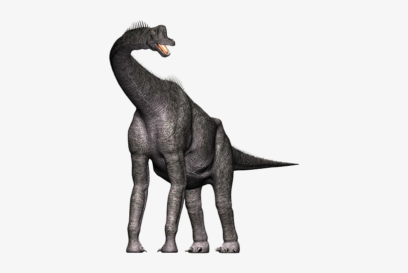 Download Brachiosuarus 3d Dinosaur Model Png Png Image Transparent Png Free Download On Seekpng