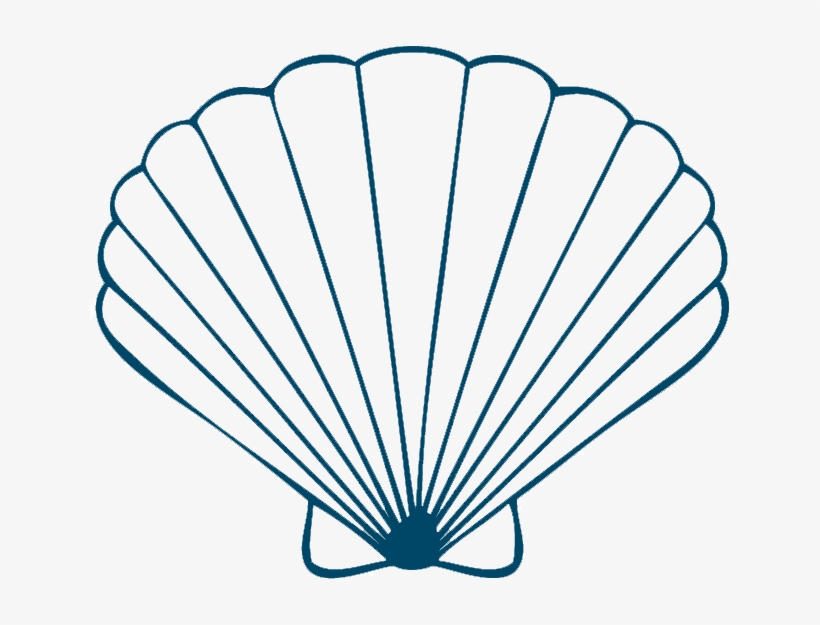 Sea Shells On Seashells Shells And Conch Clipart - Draw A Seashell, transparent png download