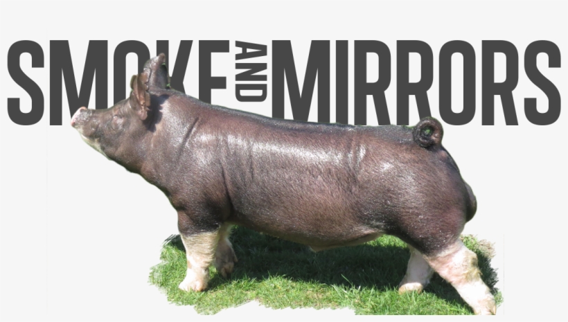 Smoke & Mirrors - Haus Shower, transparent png download