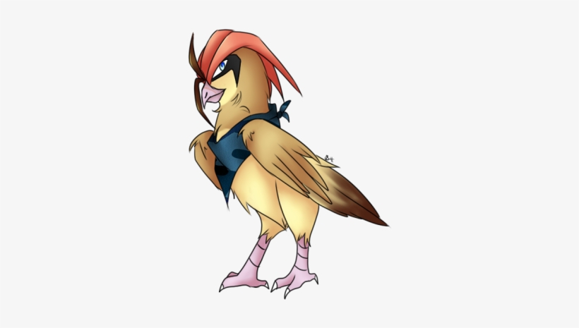 Baaron The Pidgeotto - Buzzard, transparent png download