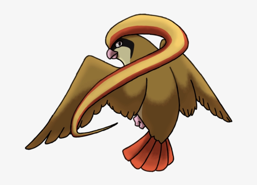 Este Hermoso Pokemon Del Tipo Volador, También Se Encuentra - Pidgeot Transparent, transparent png download