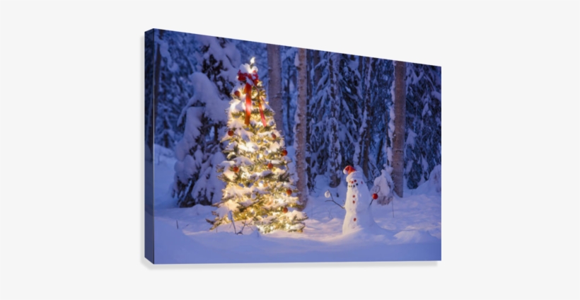 Snowman With Santa Hat Hanging Ornaments On A Christmas - Kevin Smith Gallery-wrapped Canvas Entitled Snowman, transparent png download
