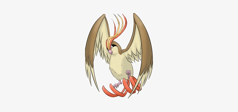 Strap Roucarnage/pidgeot - Pidgeot, transparent png download