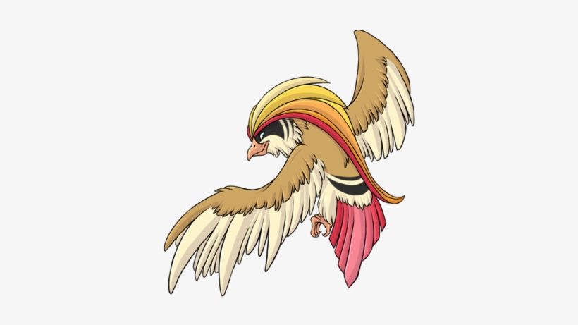 Image - Bald Eagle, transparent png download