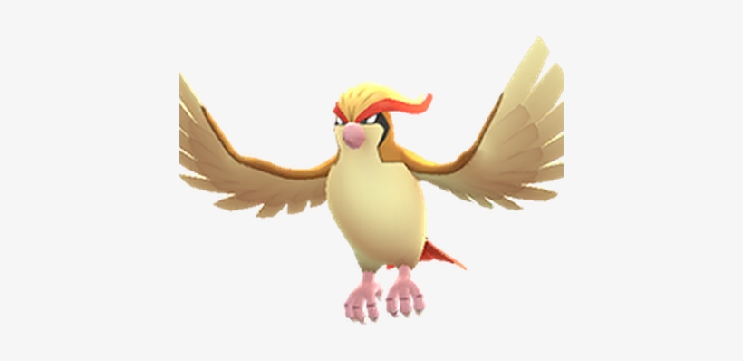 Photo Photo Photo Photo Photo Photo Photo - Empreinte De Pas Pokemon Go, transparent png download