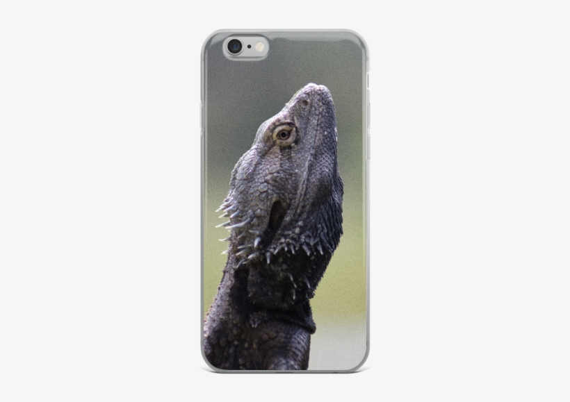 Reptile, transparent png download