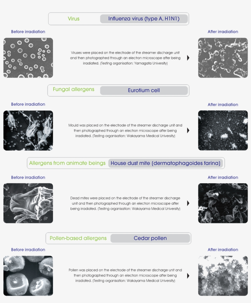 A Clean Technology That's Recognised By Public Institution*in - ダイキン(daikin) パワフル空気清浄機「光クリエール」 ホワイト Acm75l-w, transparent png download