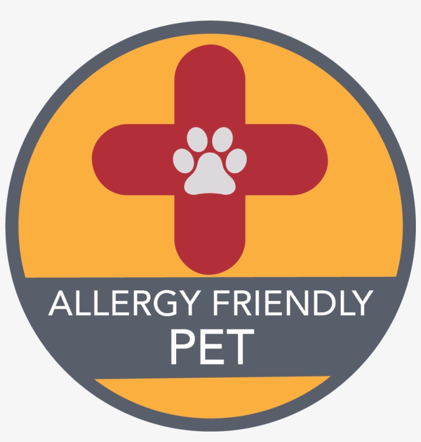 Bearded Dragon Brings Happiness - Circle, transparent png download