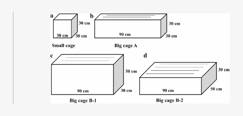 Different Dimensions Of Stainless Steel Cages For The - Dimensions Of Stainless Steel, transparent png download