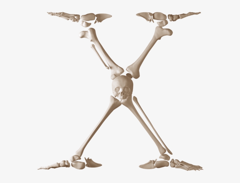 Skeleton Font - Skeleton, transparent png download