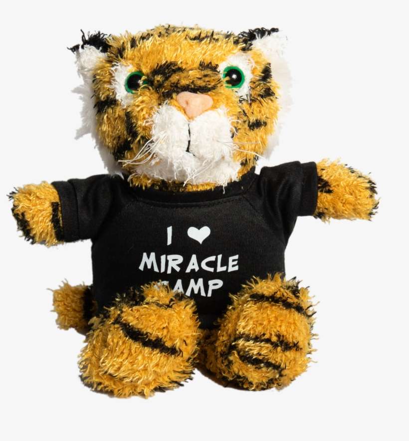 Stuffed Animal - Teddy Bear, transparent png download