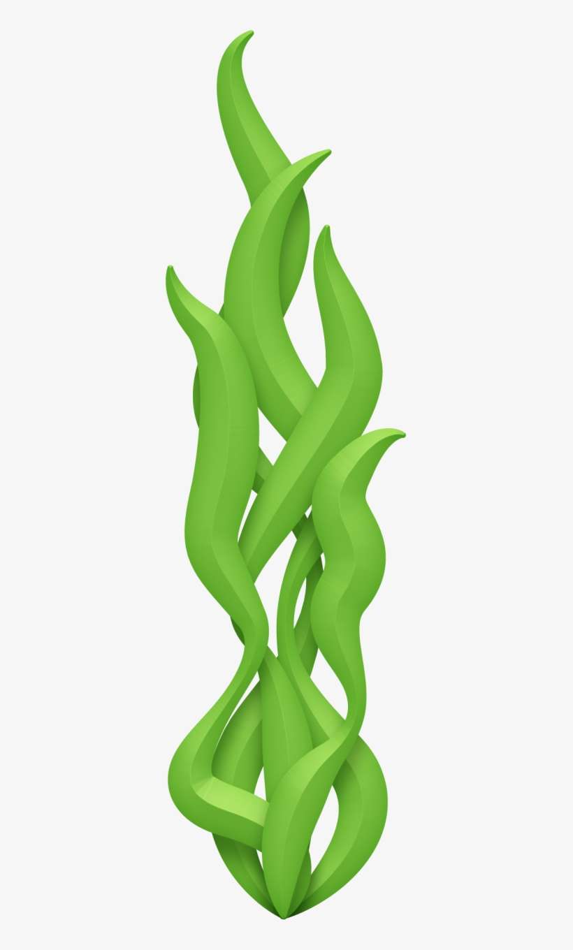 Фотки Fundos, Adesivos, Vida Marítima, Vida Marinha, - Algas Da Pequena Sereia, transparent png download
