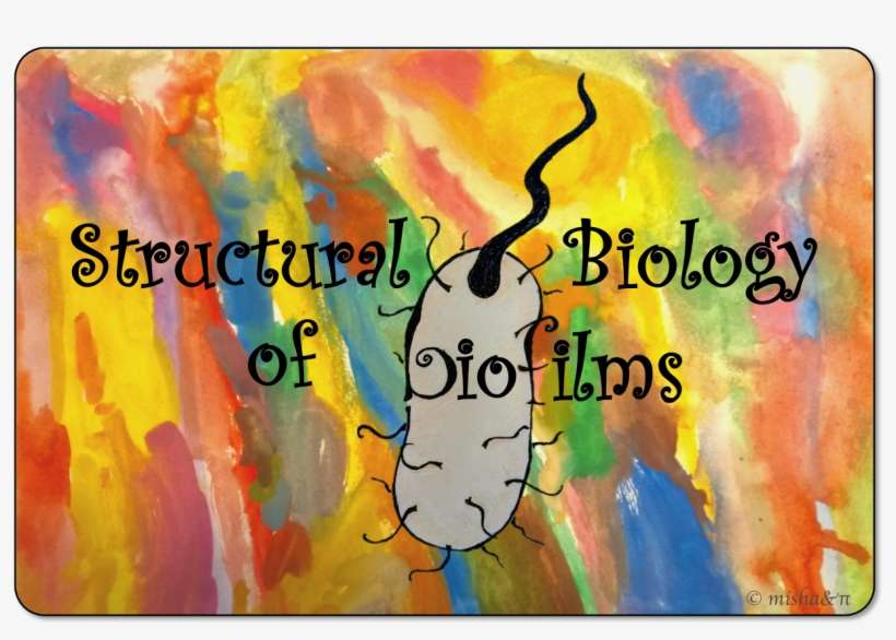 Petya Krasteva - Brent Holmes - Antler-thology, transparent png download