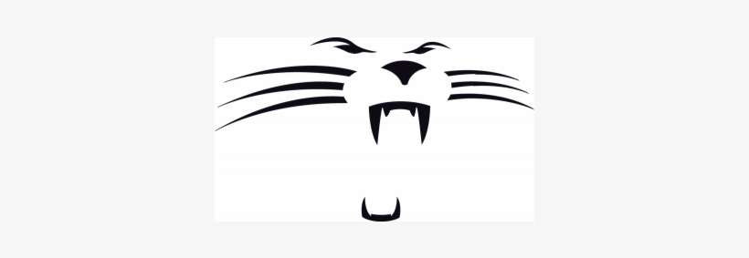 Nfl Carolina Panthers Fiber Reactive Beach Towel, transparent png download